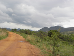 Pilanesberg view