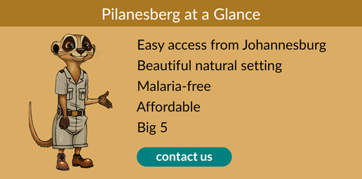 Illustration of Pilanesberg at a glance