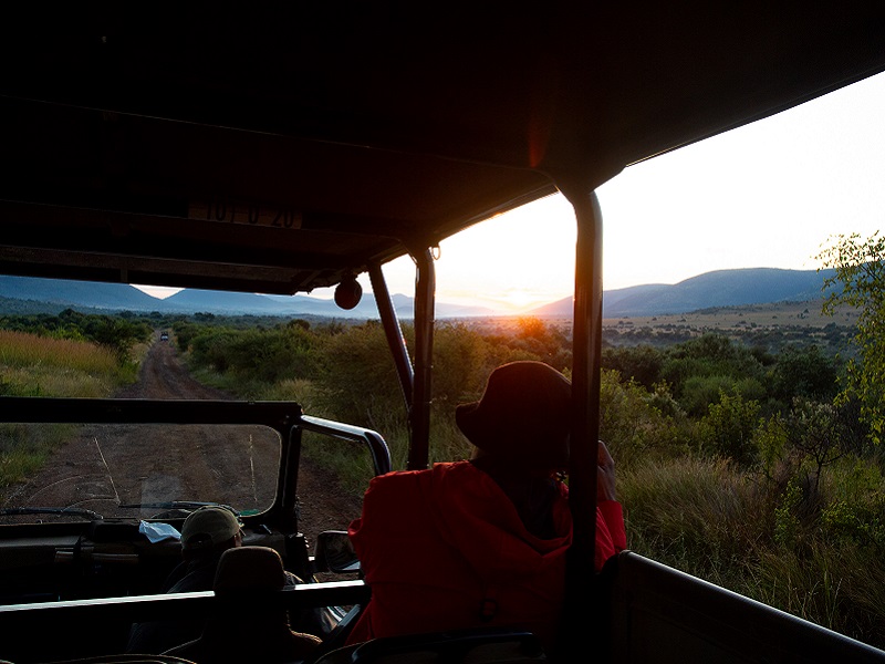  A safari at Shepherd's Tree Game Lodge